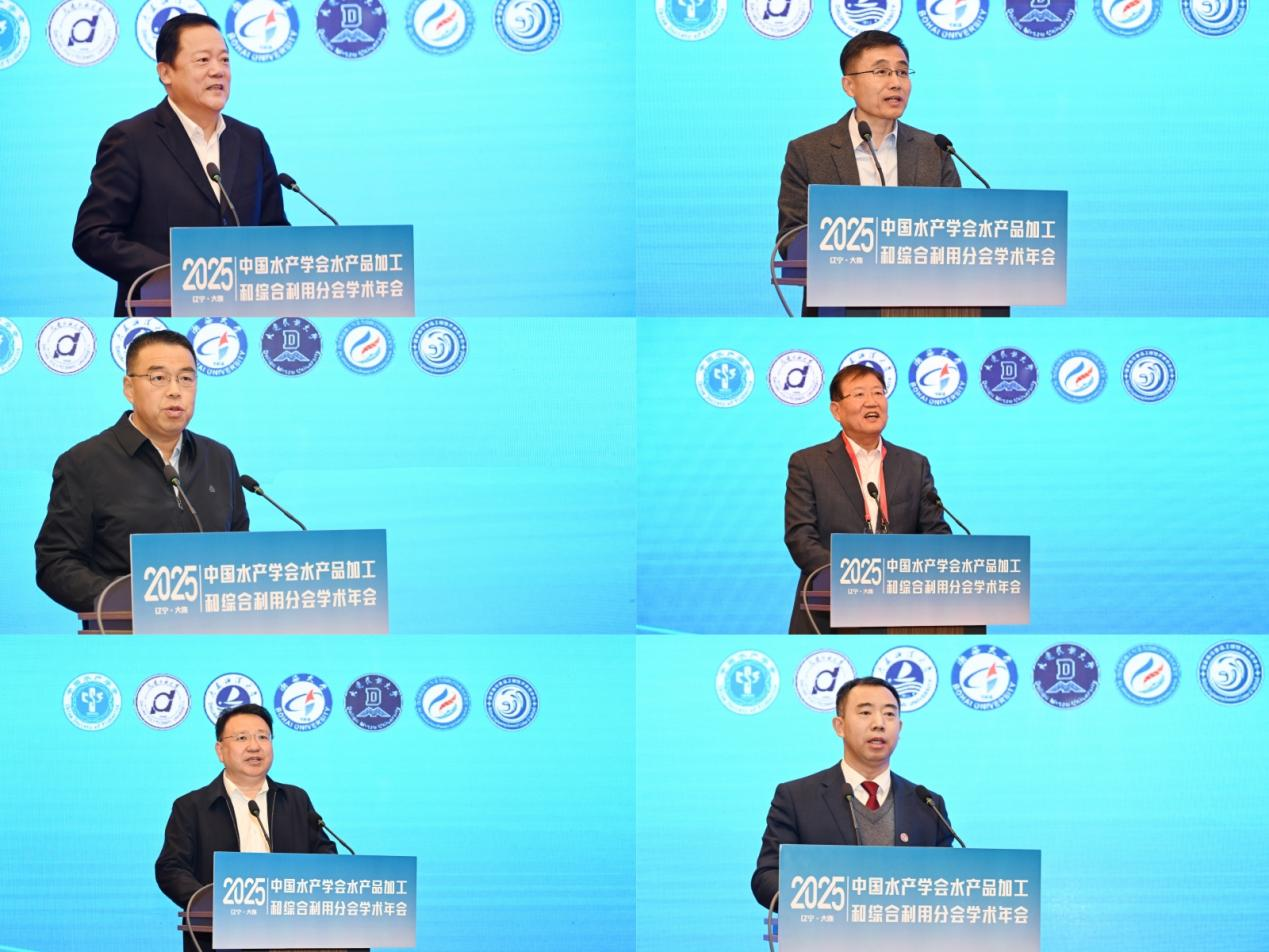 1761530552586026785.png 1761530552586026785.png