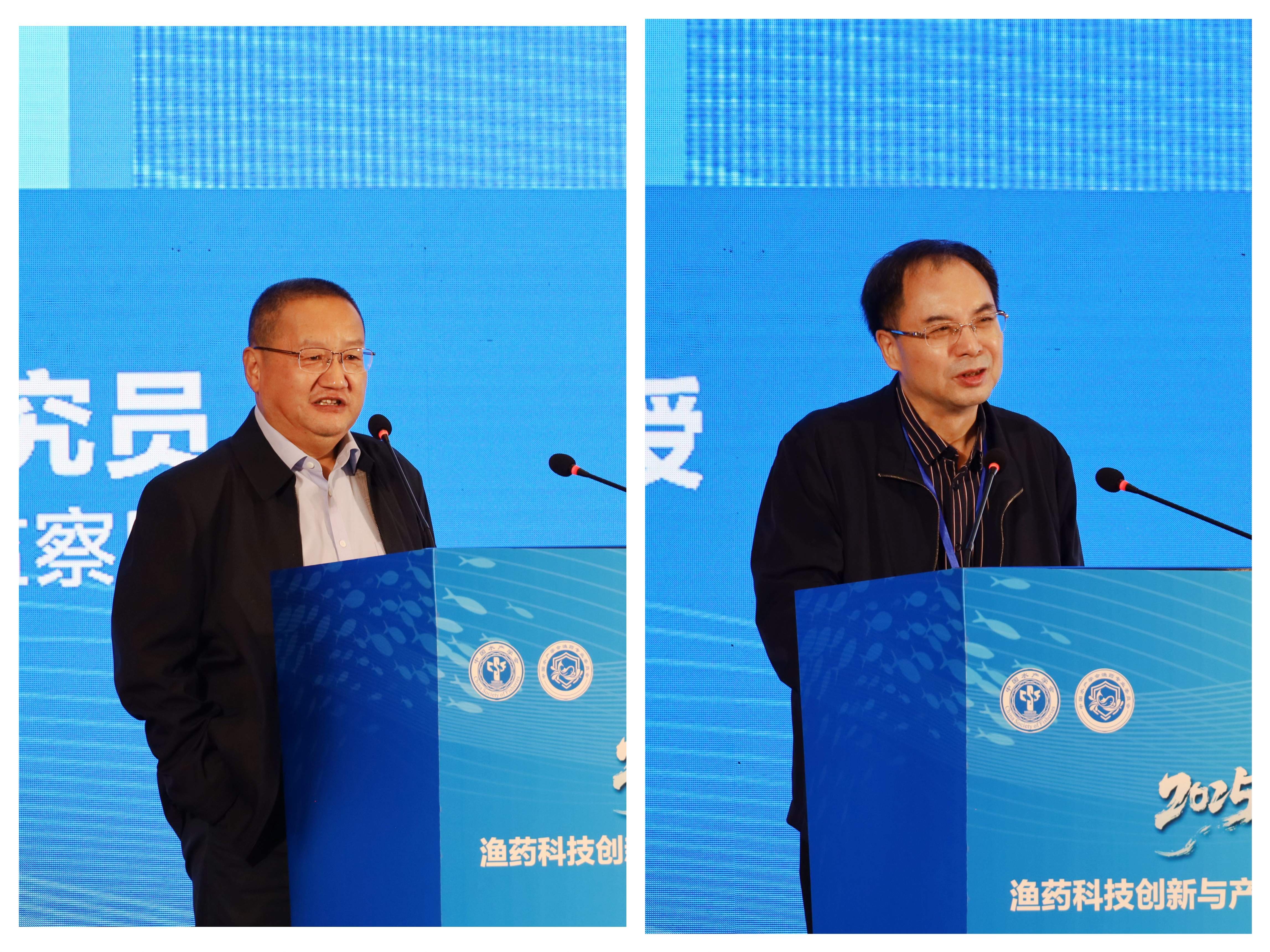 1763015191344095128.jpg 1763015191344095128.jpg